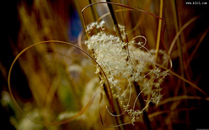 暗色风景图片大全