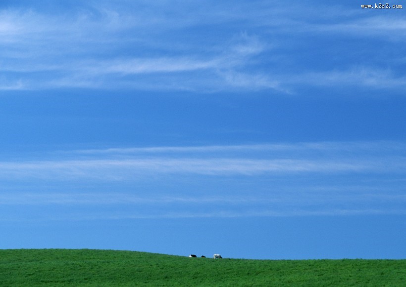 草原和蔚蓝的天空图片