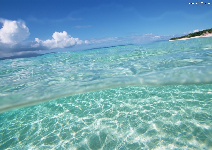 从水下往上看的图片