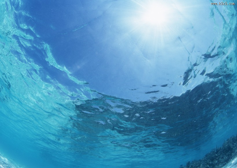 从水下往上看的图片