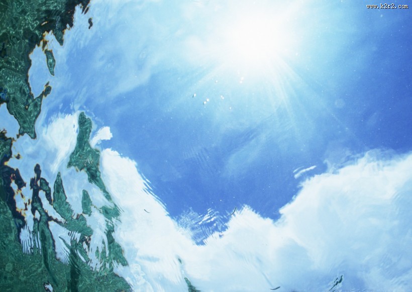 从水下往上看的图片