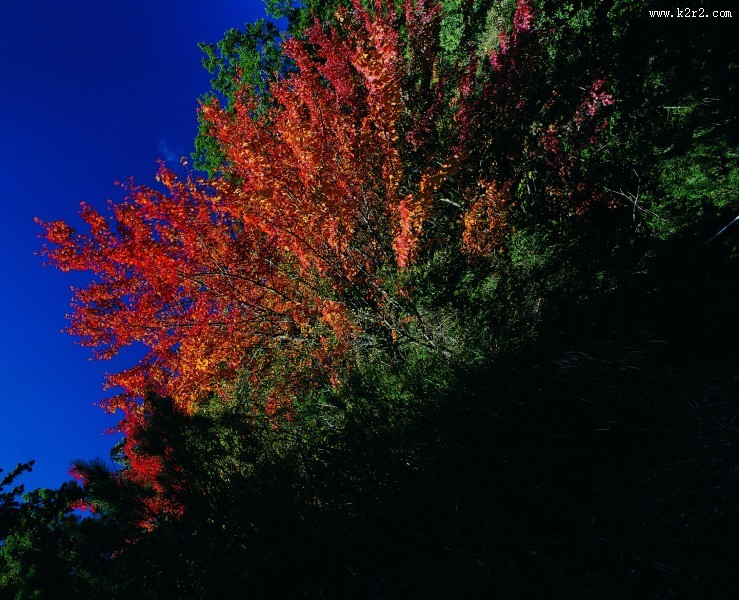 秋季风景图片大全