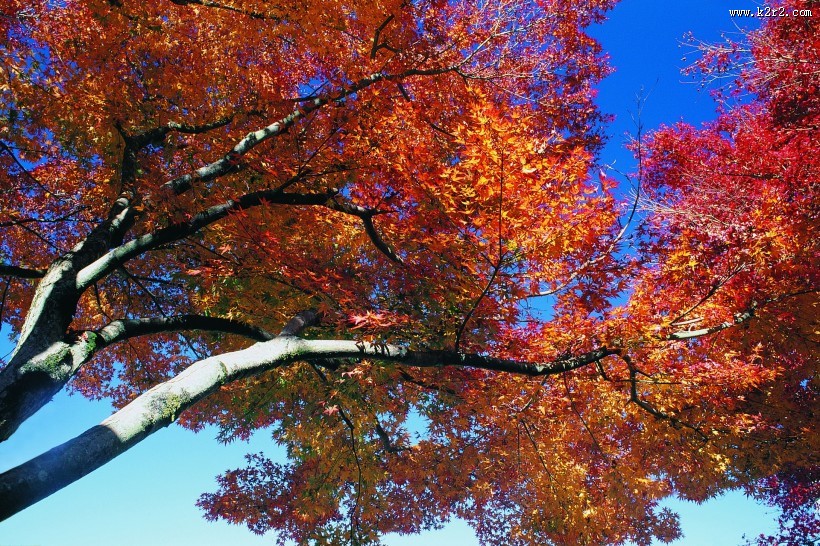 秋季风景图片大全