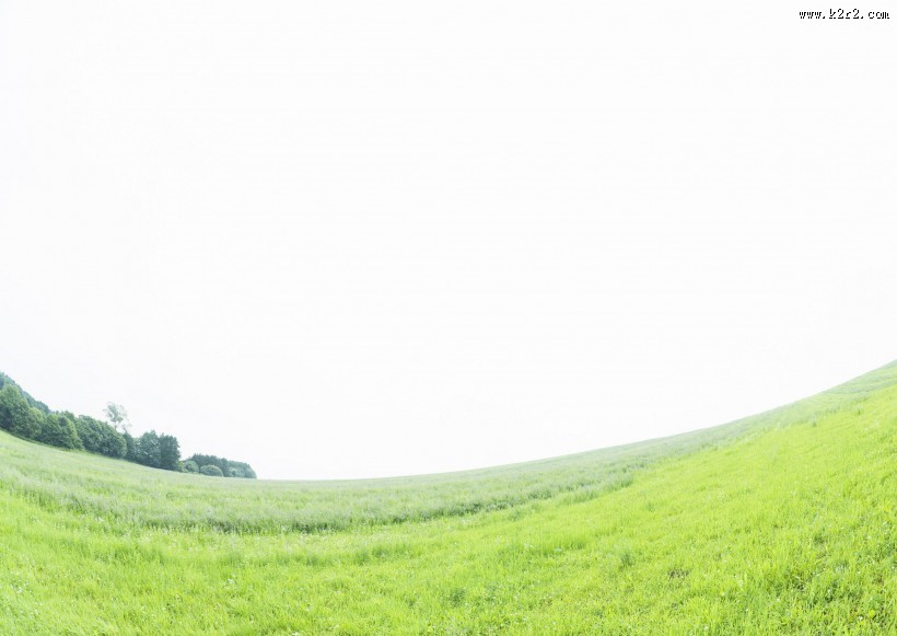 绿油油的草地图片