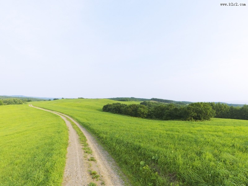 绿色草地图片
