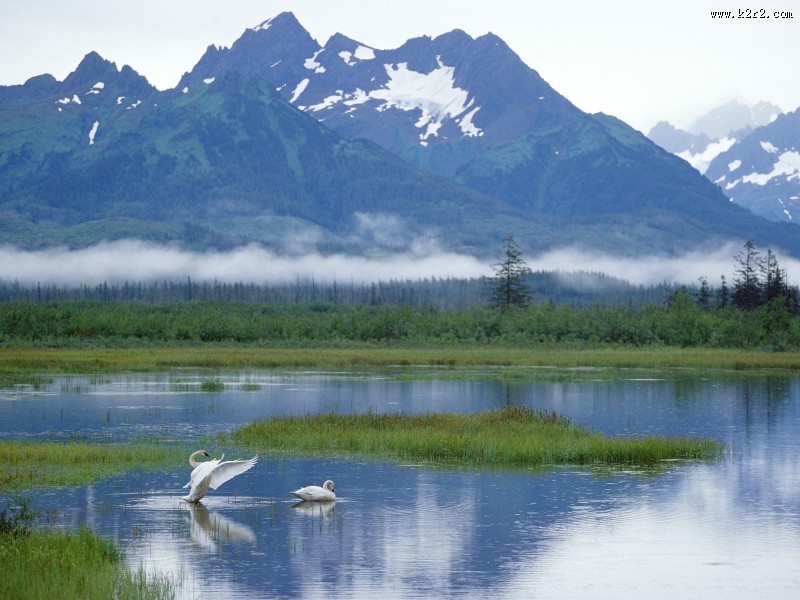 南极洲自然生态图片大全