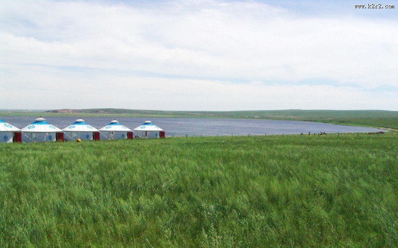 呼伦贝尔大草原图片