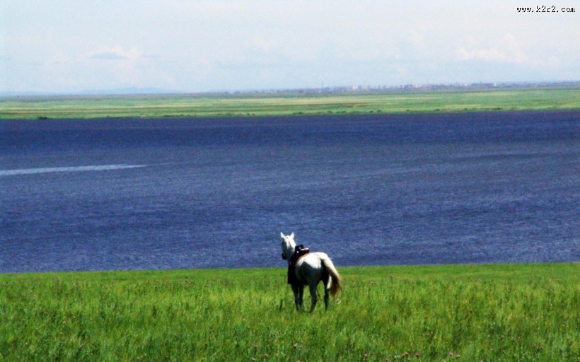 呼伦贝尔大草原图片