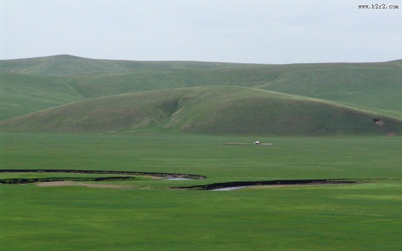 呼伦贝尔大草原图片