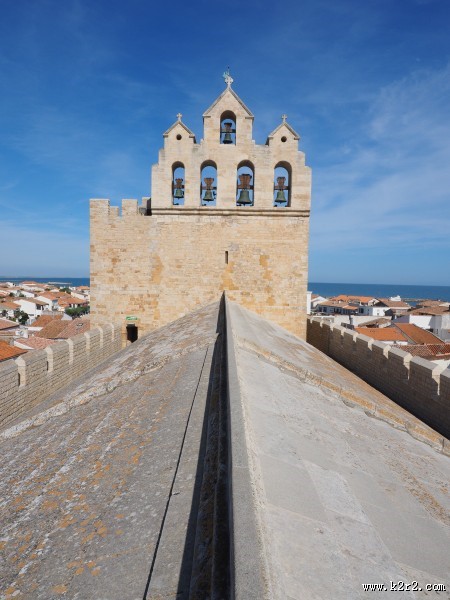 巴黎圣母院大教堂屋顶图片
