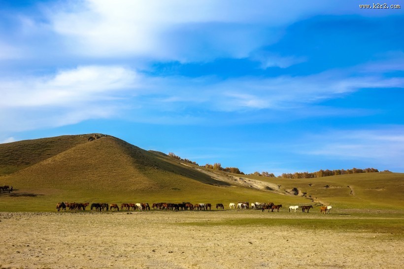 让人震撼的内蒙古乌兰布统唯美秋季自然风景图片