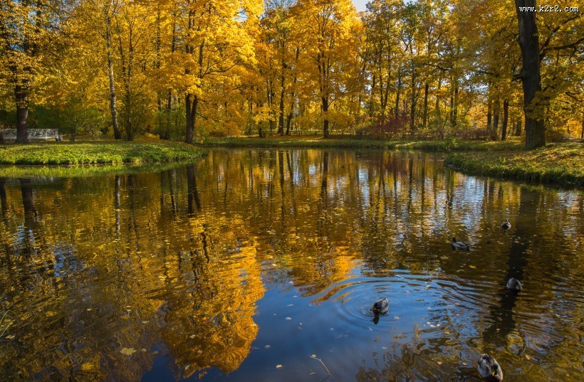 俄罗斯园林园林唯美秋季风景图片
