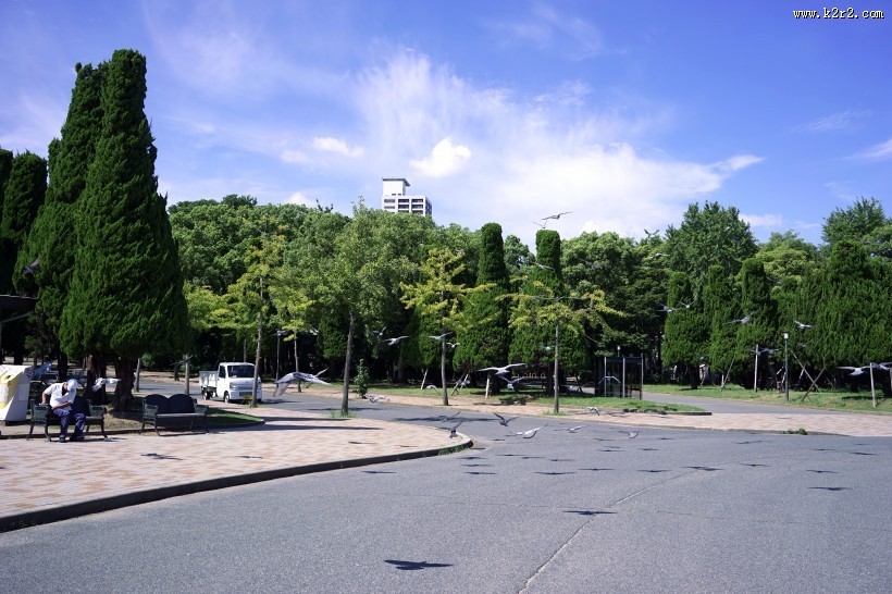 日本大阪城公园城市风景图片