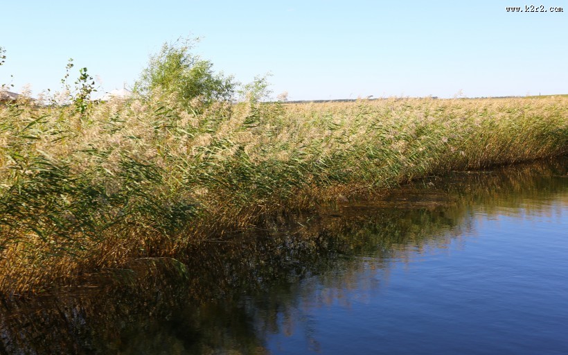 内蒙古呼伦贝尔湖自然风景图片大全