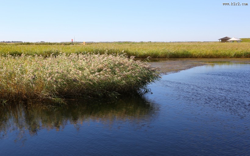 内蒙古呼伦贝尔湖自然风景图片大全