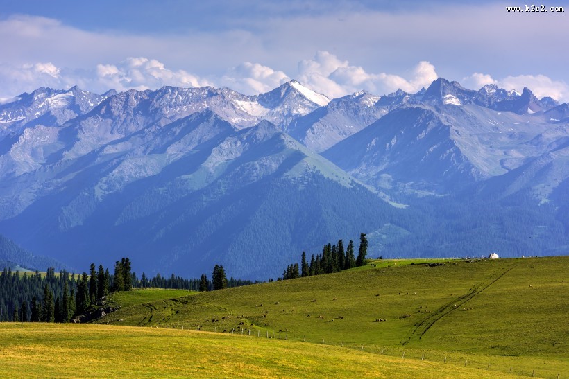 新疆伊犁喀拉峻大草原自然风景图片
