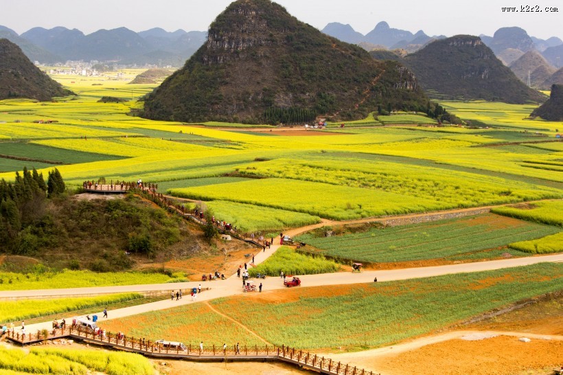 云南罗平油菜花海自然风景图片