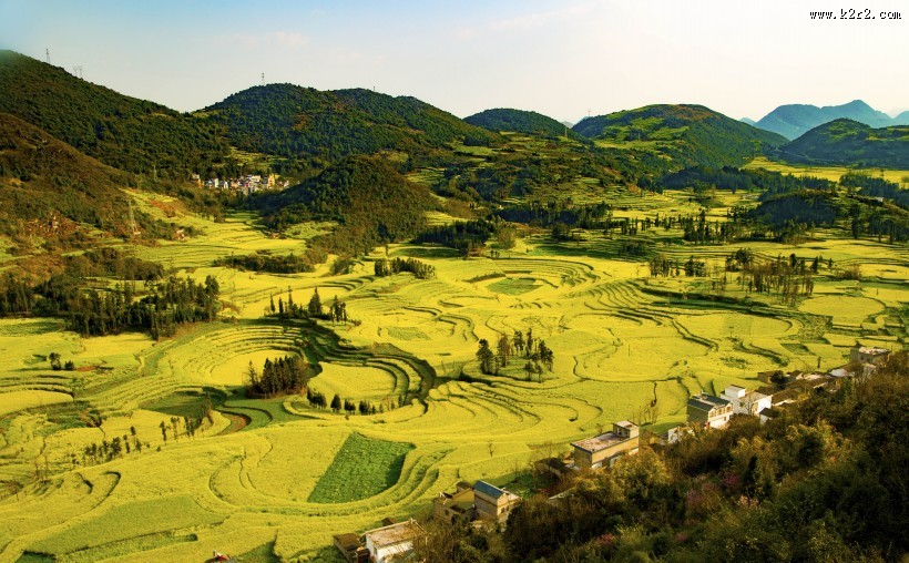 云南罗平油菜花海自然风景图片