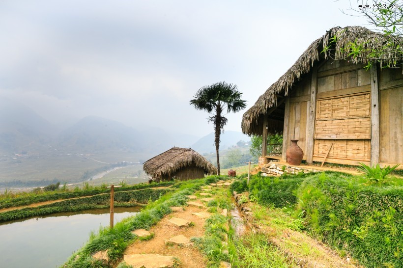 越南乡村田园风景图片