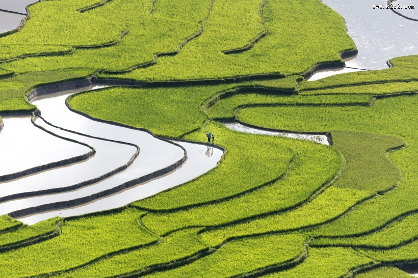 越南乡村田园风景图片