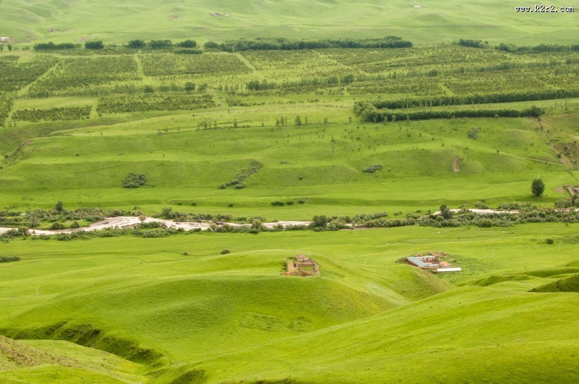新疆美丽的天山牧场风景图片
