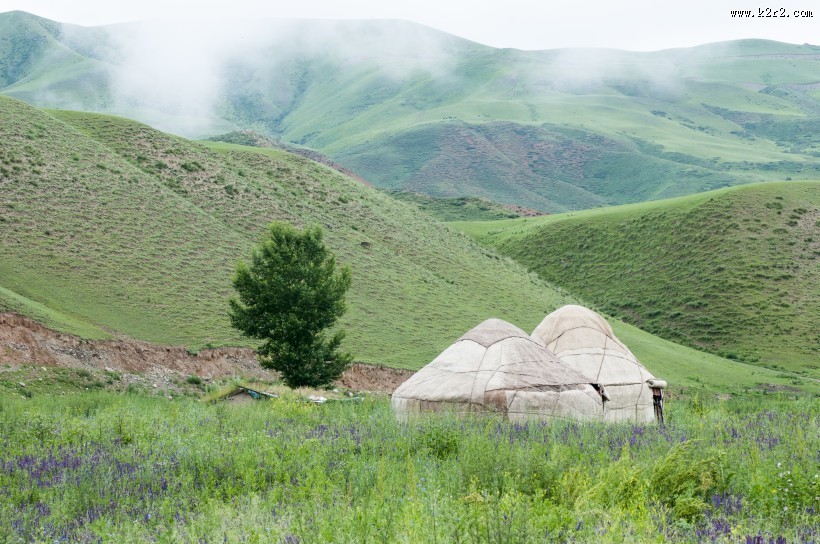 新疆美丽的天山牧场风景图片