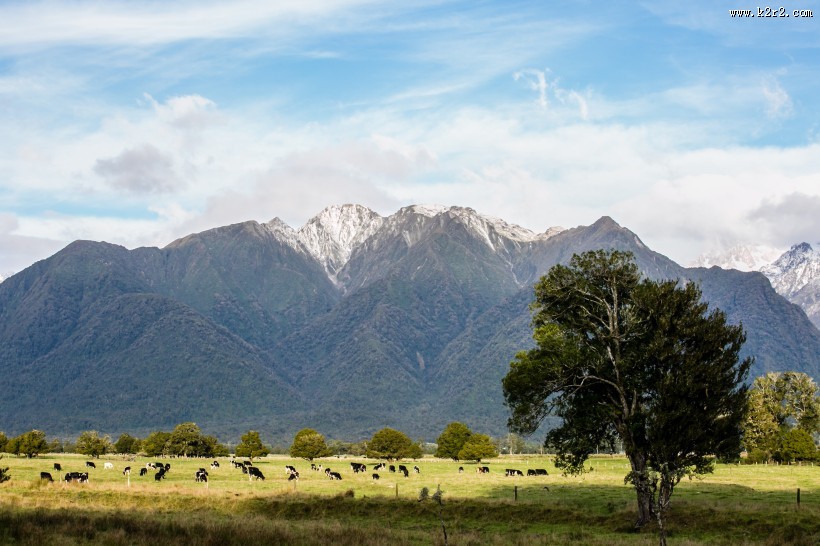 新西兰雪山风景图片