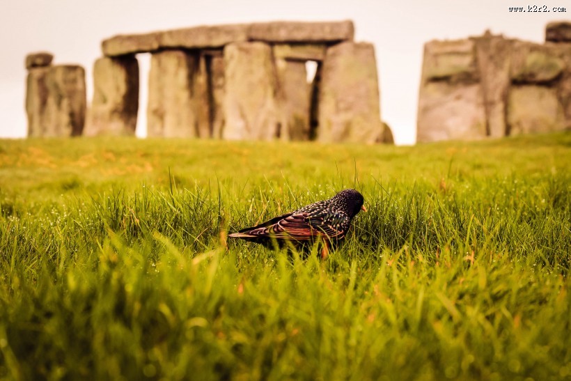 英国巨石阵图片大全