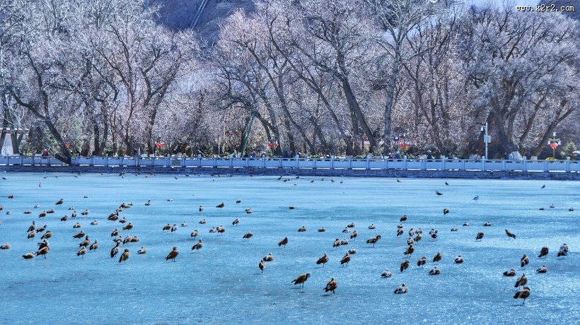 西藏拉萨冬季风景图片大全