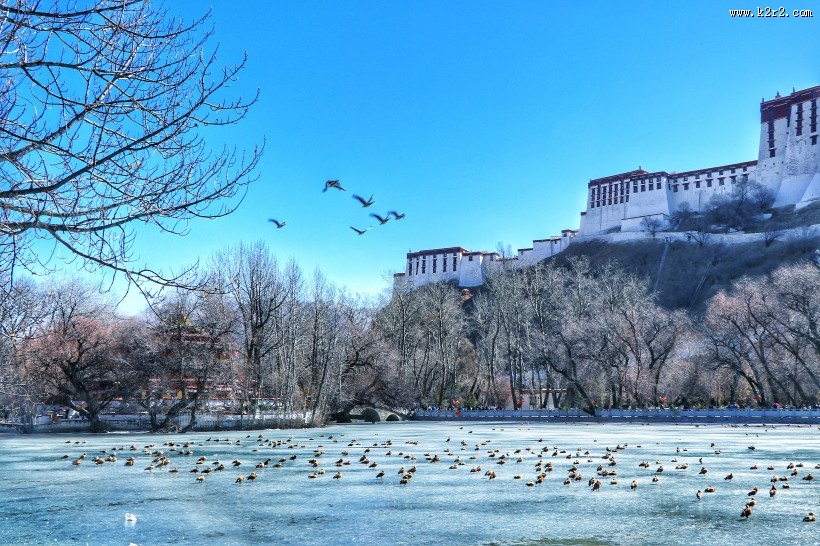 西藏拉萨冬季风景图片大全