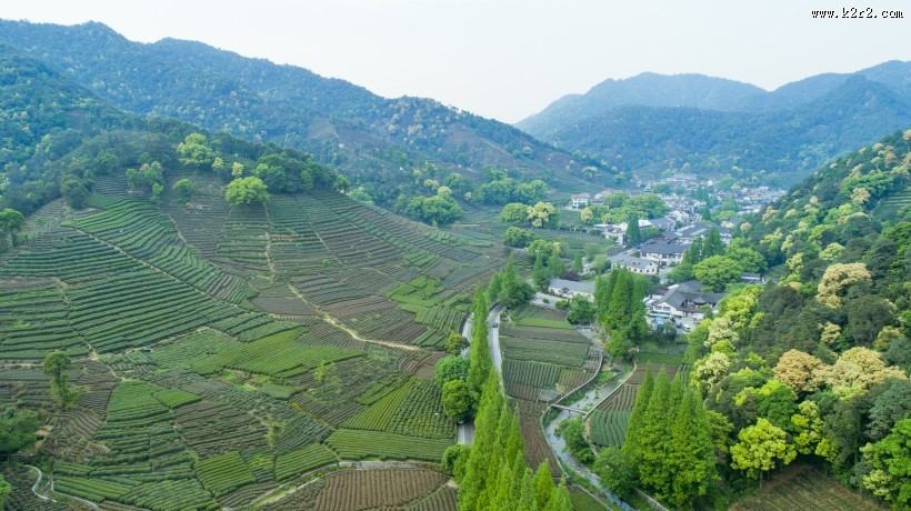 风景优美的茶园图片