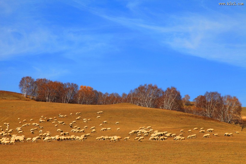 河北坝上秋景图片大全