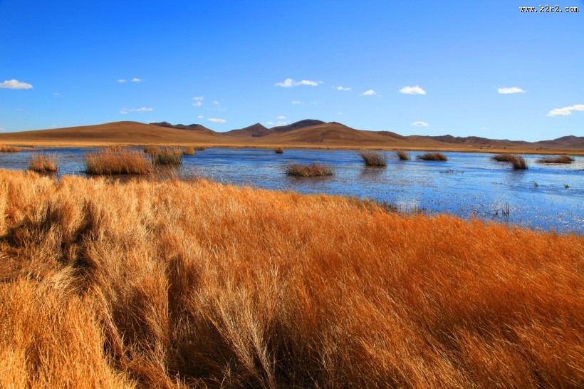 河北坝上秋景图片大全