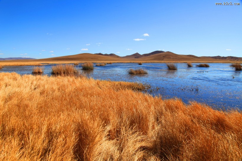 河北坝上秋景图片大全