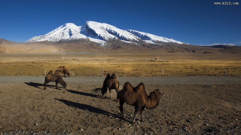 新疆慕士塔格峰风景图片大全