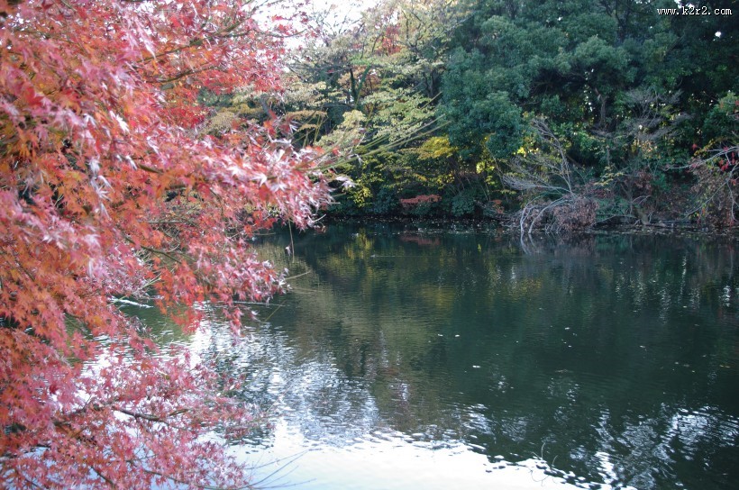 日本新宿御苑的图片大全