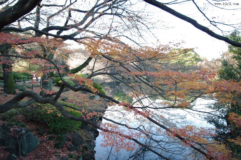 日本新宿御苑的图片大全