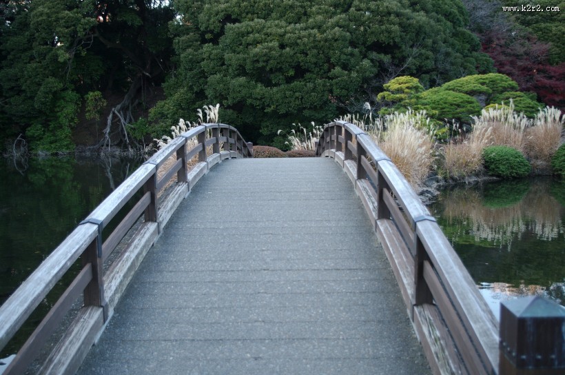 日本新宿御苑的图片大全