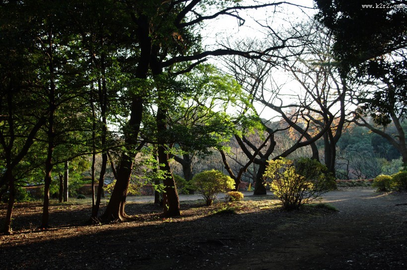 日本新宿御苑的图片大全