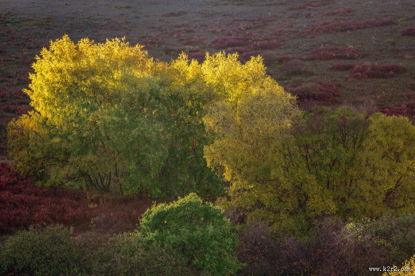 内蒙古乌兰布统风景图片