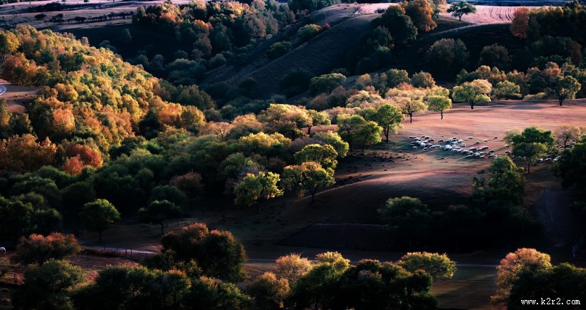 内蒙古乌兰布统风景图片