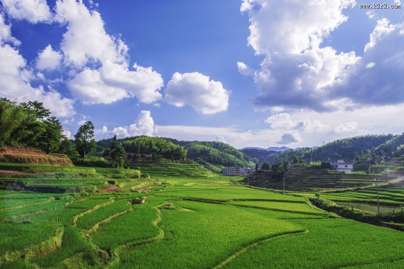 湖南紫鹊界梯田风景图片大全