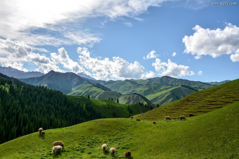 新疆科克尔斯陶牧区风景图片