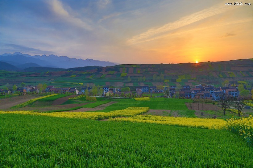 陕西西安鲍旗寨村油菜花风景图片大全