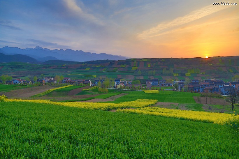 陕西西安鲍旗寨村油菜花风景图片大全