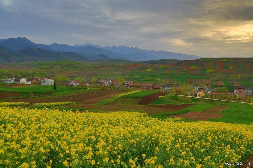 陕西西安鲍旗寨村油菜花风景图片