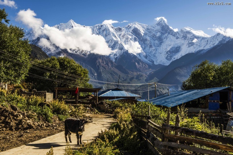 西藏南迦巴瓦峰风景图片