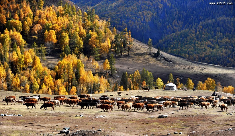 北疆秋色风景图片