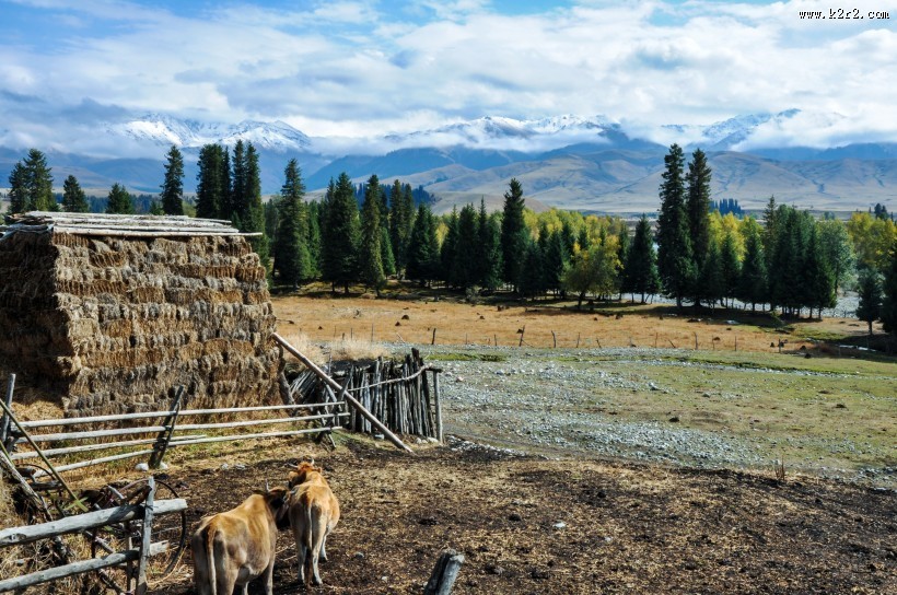 新疆孟克特风景图片