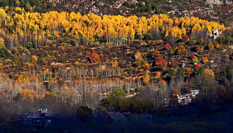 四川川西巴丹藏寨风景图片大全